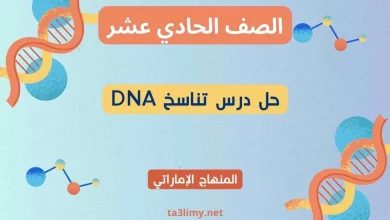 حل درس تناسخ DNA أحياء حادي عشر إماراتي